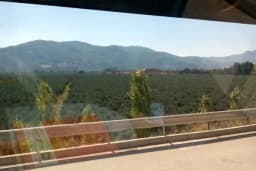 ORAU Orhan Otomotiv Bursa Serbest Bölge Gemlik şubesi