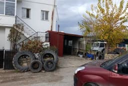 Lastikçi yunus