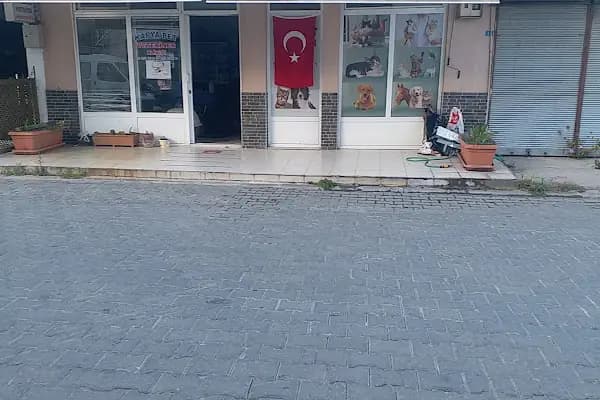 Karya Veteriner Kliniği - Veteriner - Muğla Bodrum