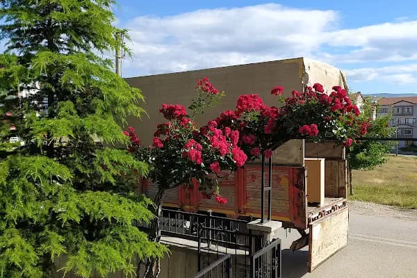Diriliş Sitesi - Konut Geliştirme - Ankara Beypazarı