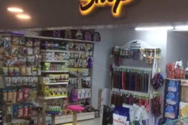 Green Petshop - 41 Burda Avm - Evcil hayvan mağazası - Kocaeli Darıca