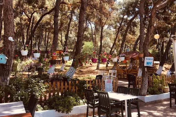 Yücetepe Restoran &amp; Kafe - Restoran - İstanbul Adalar