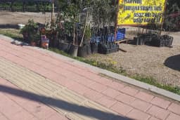 Isparta halı & koltuk yıkama
