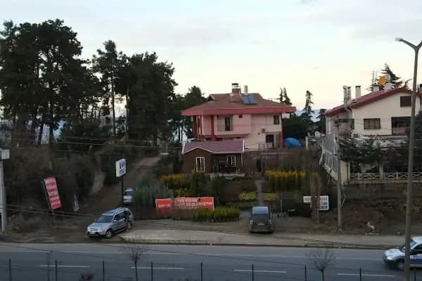 Sidre Peyzaj - Fidanlık - Trabzon Akçaabat