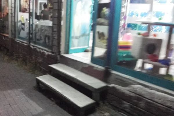 Yiğit Akvaryum - Evcil hayvan mağazası - İstanbul Beşiktaş