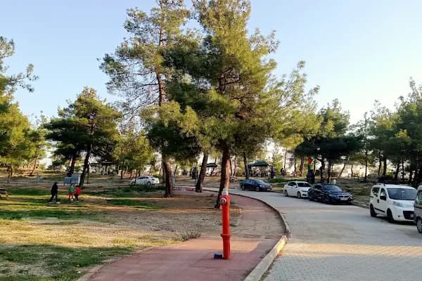 Gürsu Kule Orman Parkı - Mesire Alanı - Bursa Harmancık