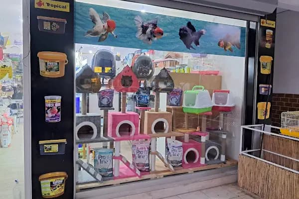HOBİM PET SHOP 07 - Evcil hayvan mağazası - Antalya Alanya