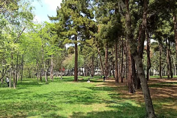 İBB Florya Atatürk Ormanı - Ulusal Orman - İstanbul Bakırköy
