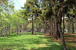 İBB Florya Atatürk Ormanı