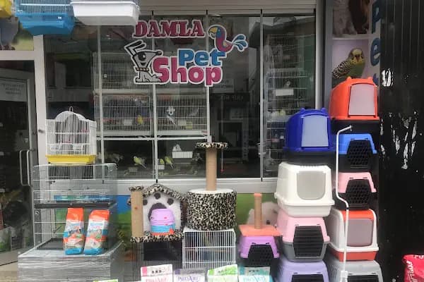 Sakarya Damla Petshop - Evcil Hayvan Malzemeleri Mağazası - Sakarya Serdivan