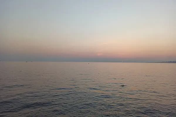Adalar Kargo Yük Taşıma - Taşıma ve depolama hizmeti - İstanbul Beylikdüzü