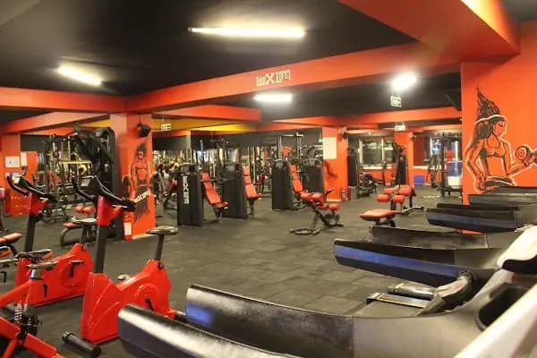 NeXLife Fitness Spor Salonu - Spor salonu - İstanbul Bağcılar
