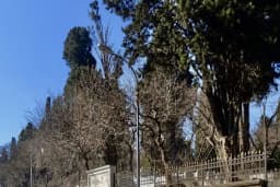 İçerenköy Mezarlığı