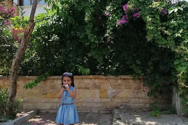 ADALAR KENT KONSEYİ - Sivil Toplum Kuruluşu - İstanbul Bağcılar
