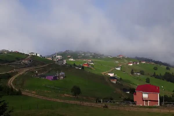 Akpınar - Yerleşim Yeri - Trabzon Akçaabat