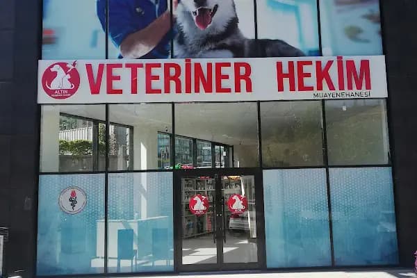 ALTIN VETERİNER HEKİM MUAYENEHANESİ - Veteriner - İstanbul Arnavutköy