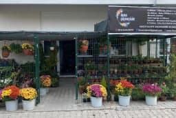 İkra Çiçekcilik Balıkesir