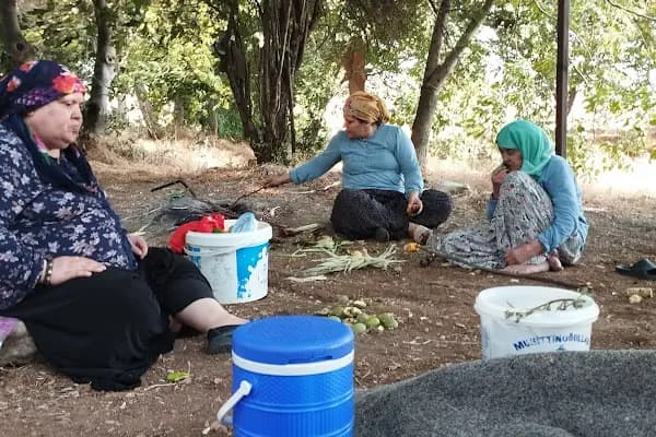 İKRAM YEMEKÇİLİK - Restoran - Kahramanmaraş Afşin