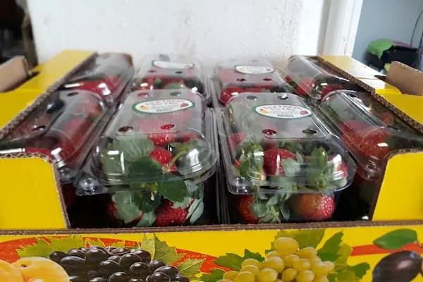 Sıla Fresh Muz - Yaş Meyve Sebze Toptancısı - Mersin Anamur
