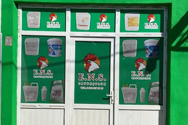 Enes tavukculuk - Kümes Hayvanları Marketi - Balıkesir Burhaniye