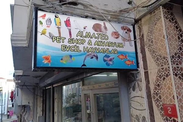 ALMAJED PET SHOP - Evcil hayvan mağazası - İstanbul Esenyurt
