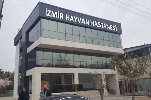 İzmir Hayvan Hastanesi - Hayvan Hastanesi - İzmir Buca