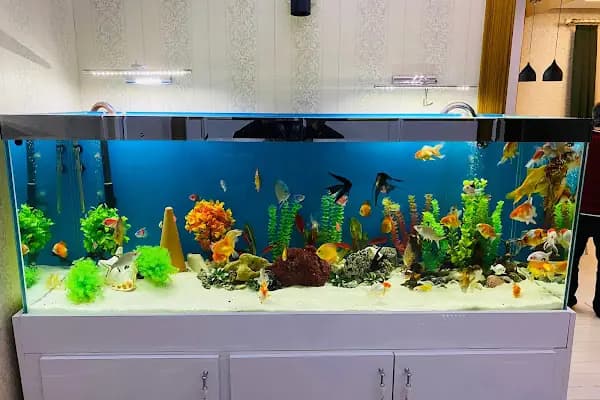 Zeynel Petshop - Evcil Hayvan Malzemeleri Mağazası - Gaziantep Şehitkamil