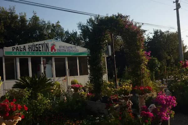 Pala Hüseyin Çiçekçilik - Peyzaj Tasarımcısı - Muğla Dalaman