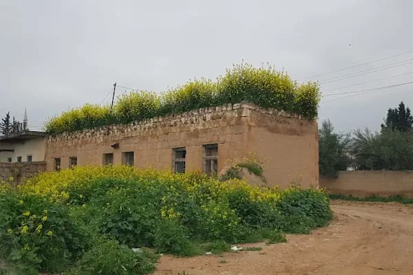 Çiftlik mezarlığı - Mezarlık - Şanlıurfa Ceylanpınar