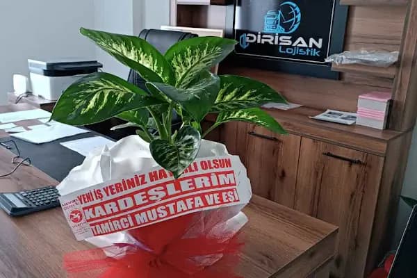Dirisan Lojistik - Lojistik Firması - Şanlıurfa Haliliye