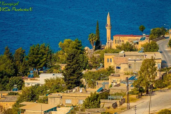 SGR KURUYEMİŞ &amp; YÖRESEL ÜRÜNLER - Kuruyemişçi - Şanlıurfa Ceylanpınar
