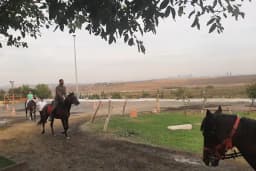 Avcılar Binicilik