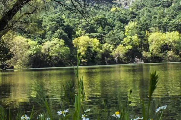 Karagöl Orman Kampı - Milli Park - İzmir Bergama