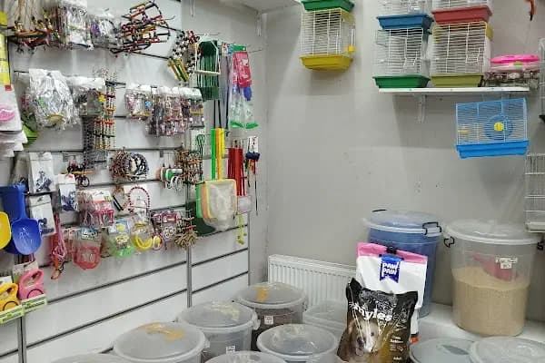 Efe petshop - Evcil hayvan mağazası - Ankara Altındağ