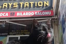 Cool Game Playstation Bilardo