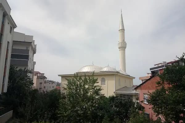 Medine Camii - Cami - Kocaeli Çayırova