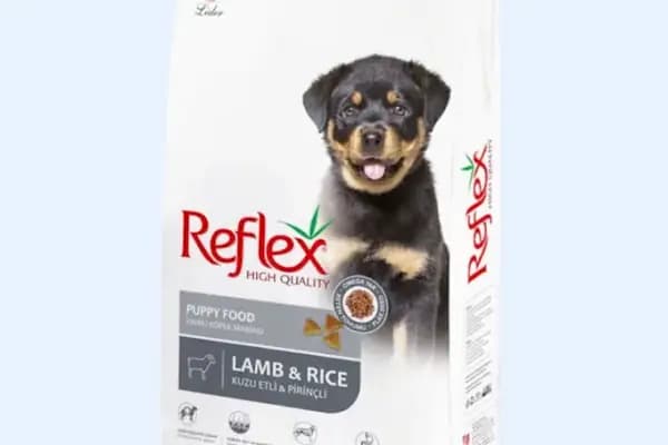 Sarıçam Petshop - Evcil Hayvan Malzemeleri Mağazası - Adana Yüreğir