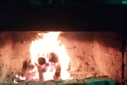 Avcı Besi Çiftliği