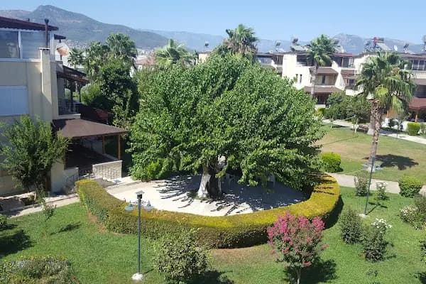 Kardelen Sahil Sitesi - Konut Geliştirme - Mersin Anamur