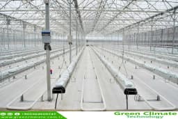 GREEN CLIMATE