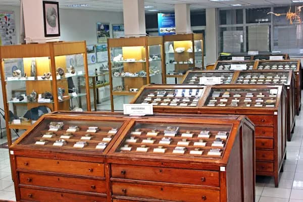 İstanbul Üniversitesi Cerrahpaşa Jeoloji Müzesi - Müze - İstanbul Çatalca