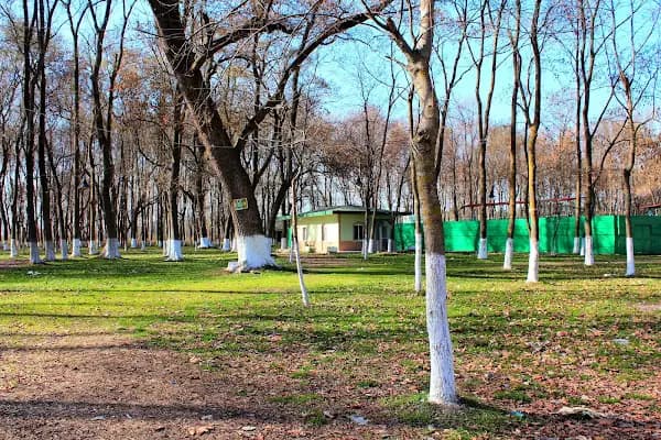 Geyikkoşan Piknik Alanı - Piknik Alanı - Samsun Çarşamba