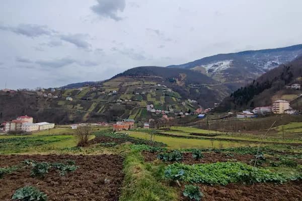 Pontos/ Byzantine Church , Tarihi Pontus Kilisesi - Kilise - Trabzon Maçka