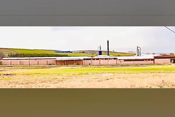 Tokur Ağaç Akyurt - Ağaç Hizmeti - Ankara Etimesgut