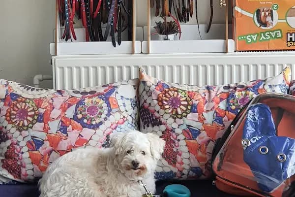 Diyarbakır veteriner Petshome - Veteriner - Diyarbakır Kayapınar