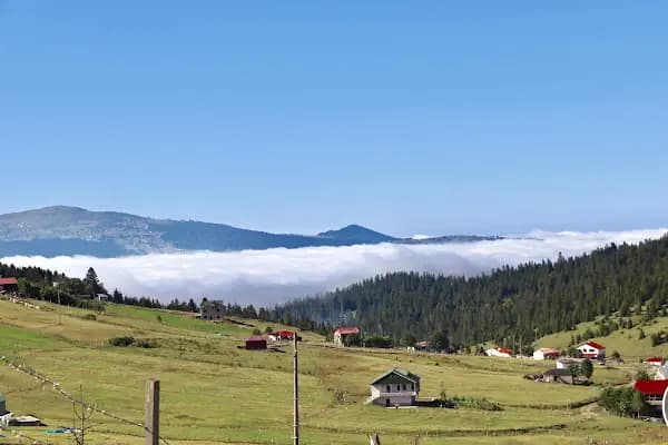 Kayabaşı Tabiat Parkı - Milli Park - Trabzon Tonya