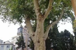 AK PARTİ AKÇAABAT İLÇE BAŞKANLIĞI