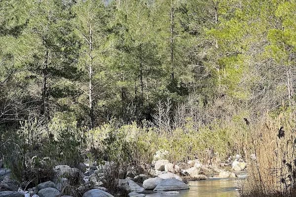 Güllük Dağı Milli Parkı - Milli Park - Antalya Muratpaşa