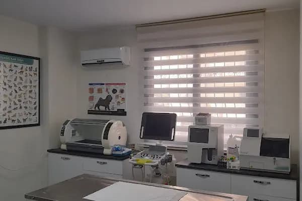 GOLD VETERİNER KLİNİĞİ - Veteriner - Mersin Mezitli