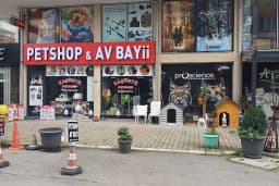 Kaşüstü petshop